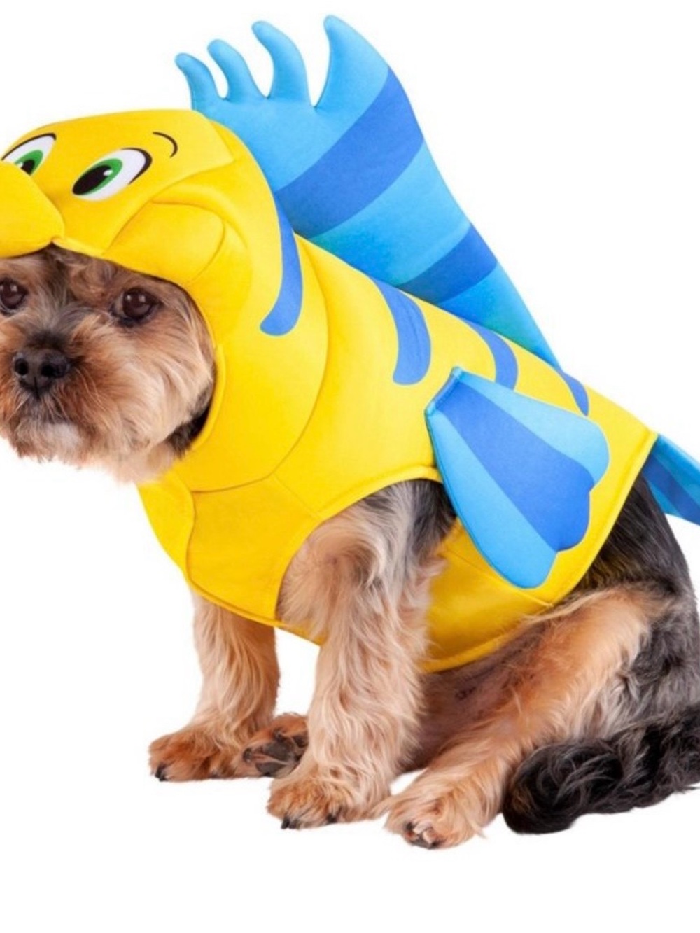 Disney flounder fish pet dog Halloween costume